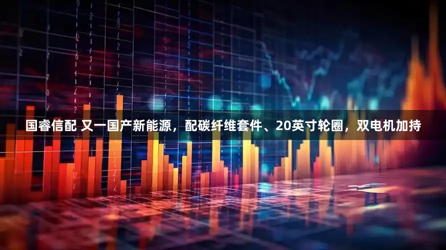 国睿信配 又一国产新能源，配碳纤维套件、20英寸轮圈，双电机加持