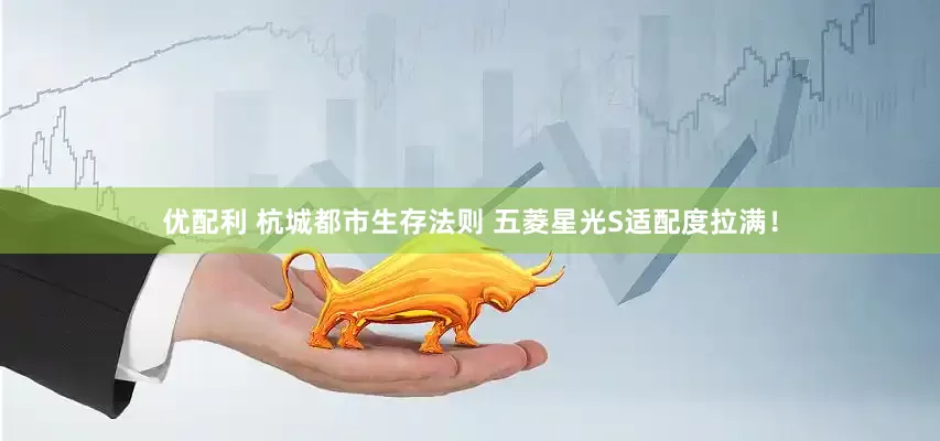 优配利 杭城都市生存法则 五菱星光S适配度拉满！