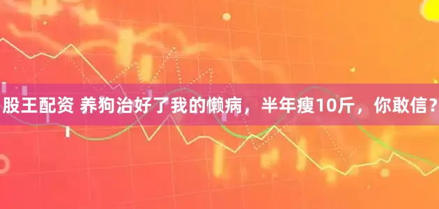 股王配资 养狗治好了我的懒病，半年瘦10斤，你敢信？