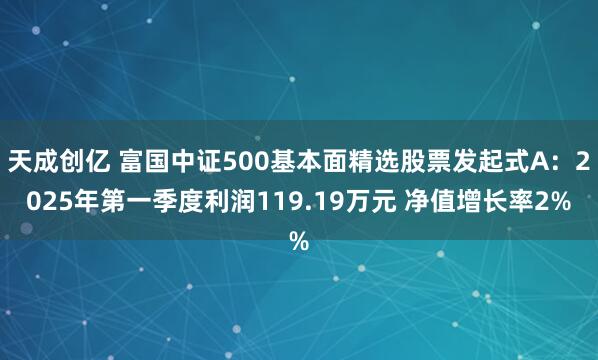 天成创亿 富国中证500基本面精选股票发起式A：2025年第一季度利润119.19万元 净值增长率2%