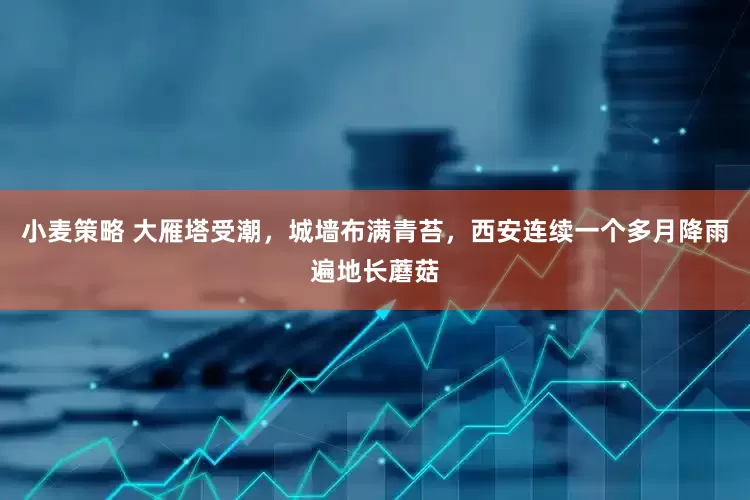 小麦策略 大雁塔受潮，城墙布满青苔，西安连续一个多月降雨遍地长蘑菇