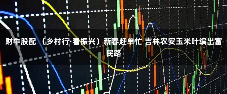 财牛股配 （乡村行·看振兴）新春赶单忙 吉林农安玉米叶编出富民路
