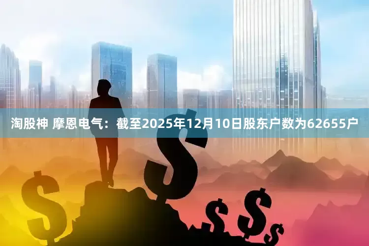 淘股神 摩恩电气：截至2025年12月10日股东户数为62655户