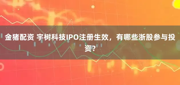 金猪配资 宇树科技IPO注册生效，有哪些浙股参与投资？